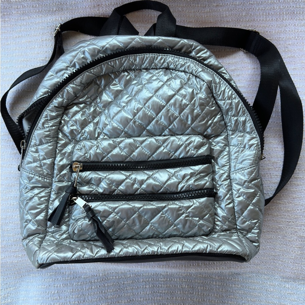 Silver Backpack - image 1
